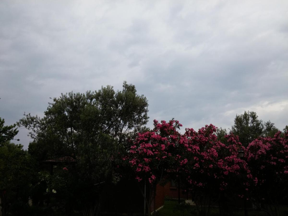 Kervan Tatil Koeyue 에드레미트 외부 사진